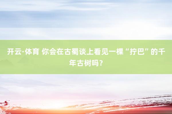开云·体育 你会在古蜀谈上看见一棵“拧巴”的千年古树吗？