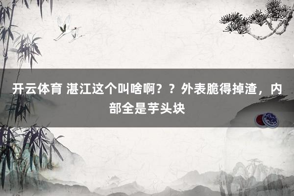 开云体育 湛江这个叫啥啊？？外表脆得掉渣，内部全是芋头块