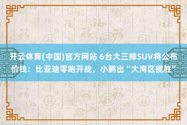 开云体育(中国)官方网站 6台大三排SUV将公布价钱：比亚迪零跑开战，小鹏出“大湾区揽胜”