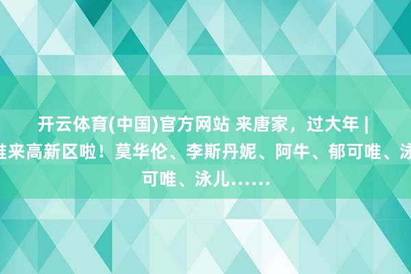 开云体育(中国)官方网站 来唐家，过大年 | 明星扎堆来高新区啦！莫华伦、李斯丹妮、阿牛、郁可唯、泳儿……