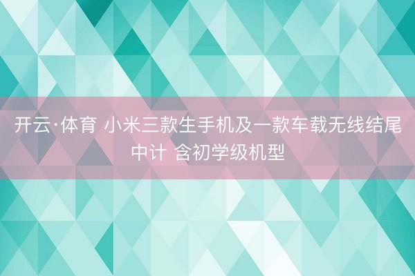开云·体育 小米三款生手机及一款车载无线结尾中计 含初学级机型