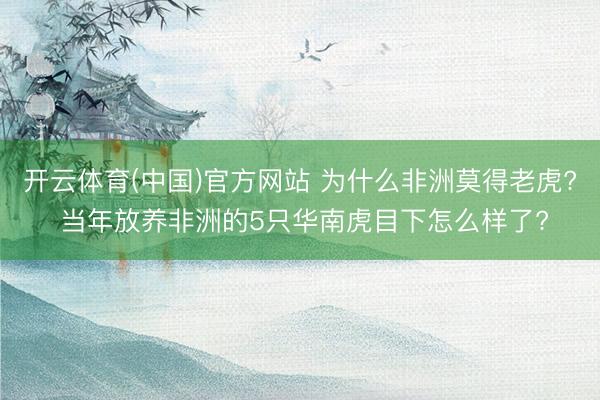 开云体育(中国)官方网站 为什么非洲莫得老虎? 当年放养非洲的5只华南虎目下怎么样了?