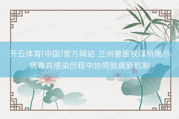 开云体育(中国)官方网站 兰州兽医权谋所揭示病毒共感染历程中协同致病新机制