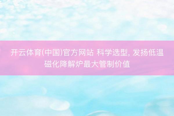 开云体育(中国)官方网站 科学选型， 发扬低温磁化降解炉最大管制价值