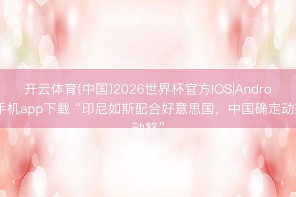 开云体育(中国)2026世界杯官方IOS|Android手机app下载 “印尼如斯配合好意思国，中国确定动怒”