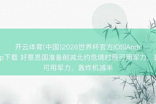 开云体育(中国)2026世界杯官方IOS|Android手机app下载 好意思国准备削减北约危境时辰可用军力，轰炸机减半