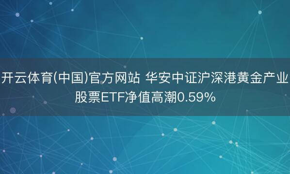 开云体育(中国)官方网站 华安中证沪深港黄金产业股票ETF净值高潮0.59%