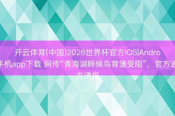 开云体育(中国)2026世界杯官方IOS|Android手机app下载 网传“青海湖畔候鸟育雏受阻”，官方通报