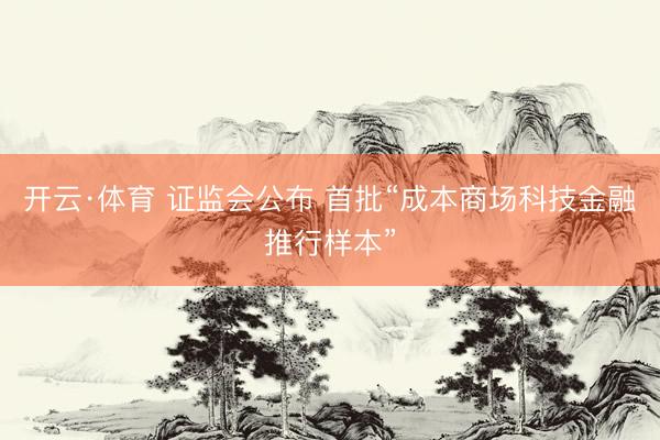 开云·体育 证监会公布 首批“成本商场科技金融推行样本”