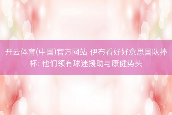开云体育(中国)官方网站 伊布看好好意思国队捧杯: 他们领有球迷援助与康健势头